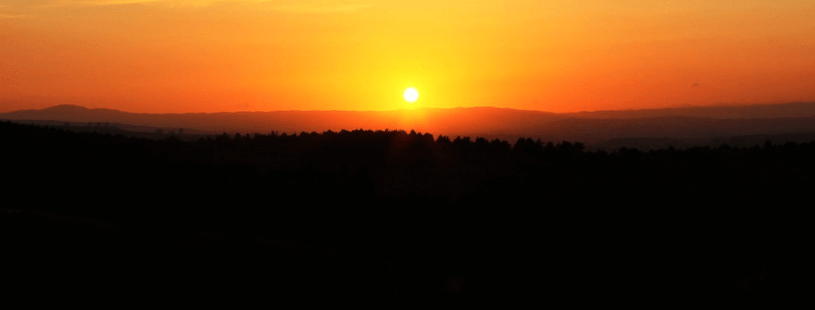 Wake up early
