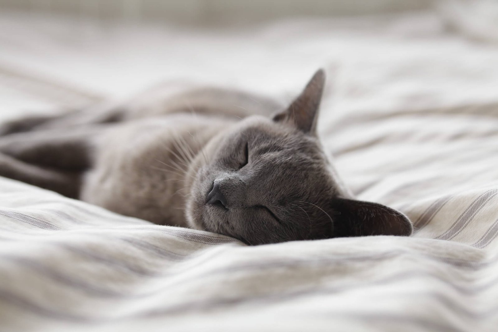 Sleep science