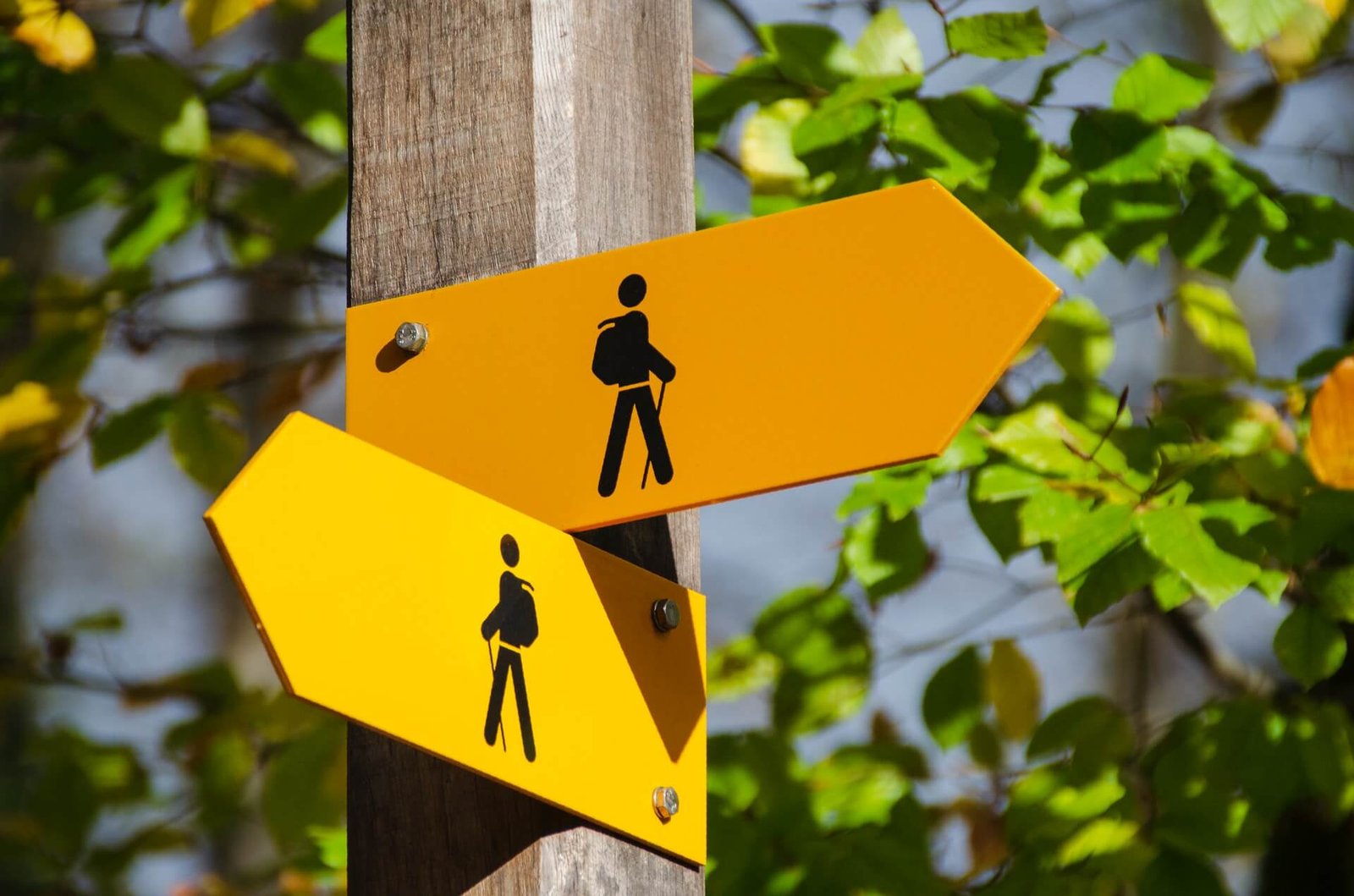 dealing with uncertainty