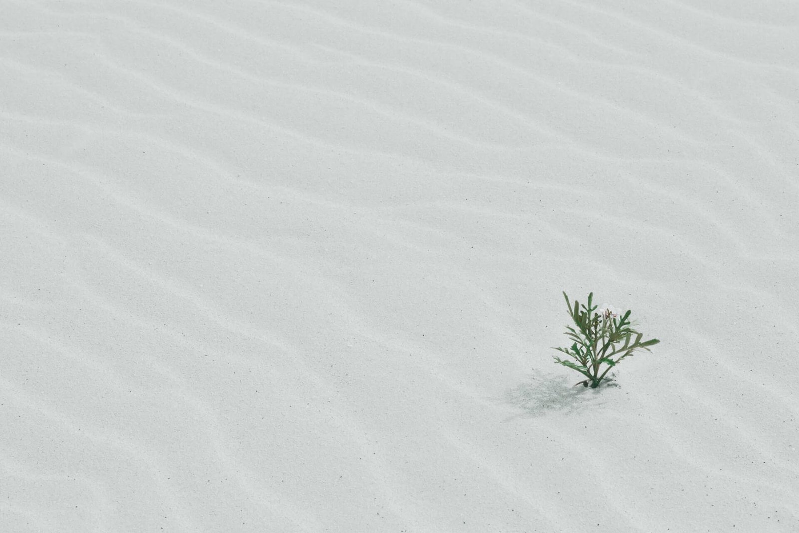 personal growth roadmap
