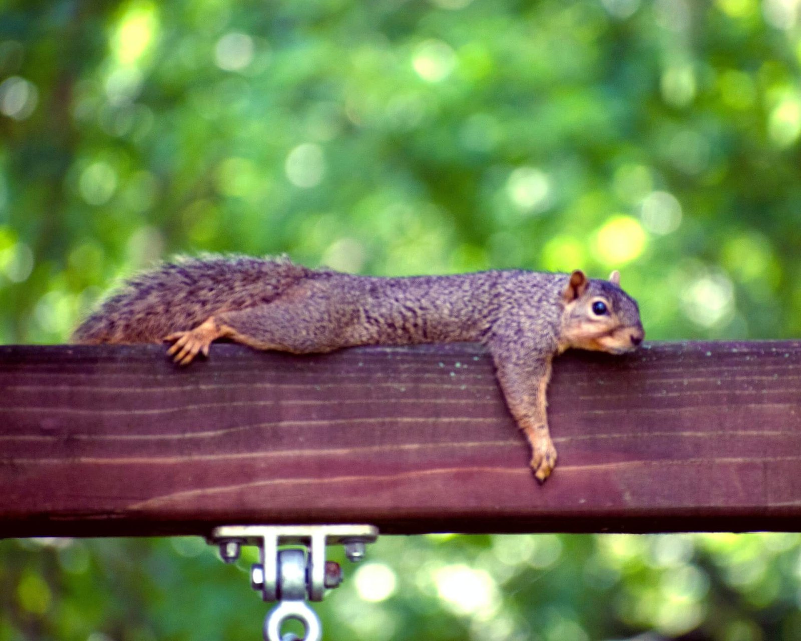 tackle the overwhelm