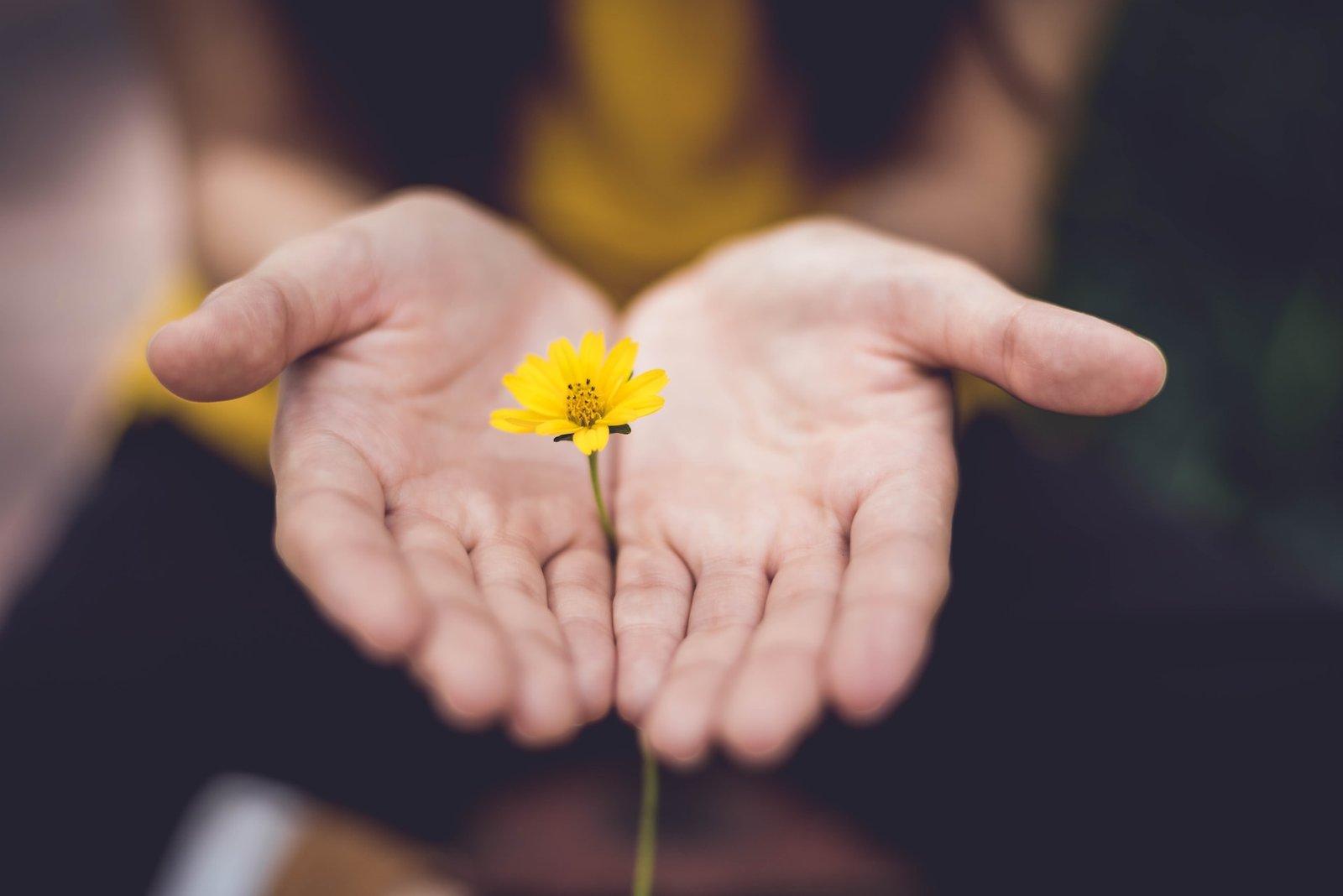 self-compassion