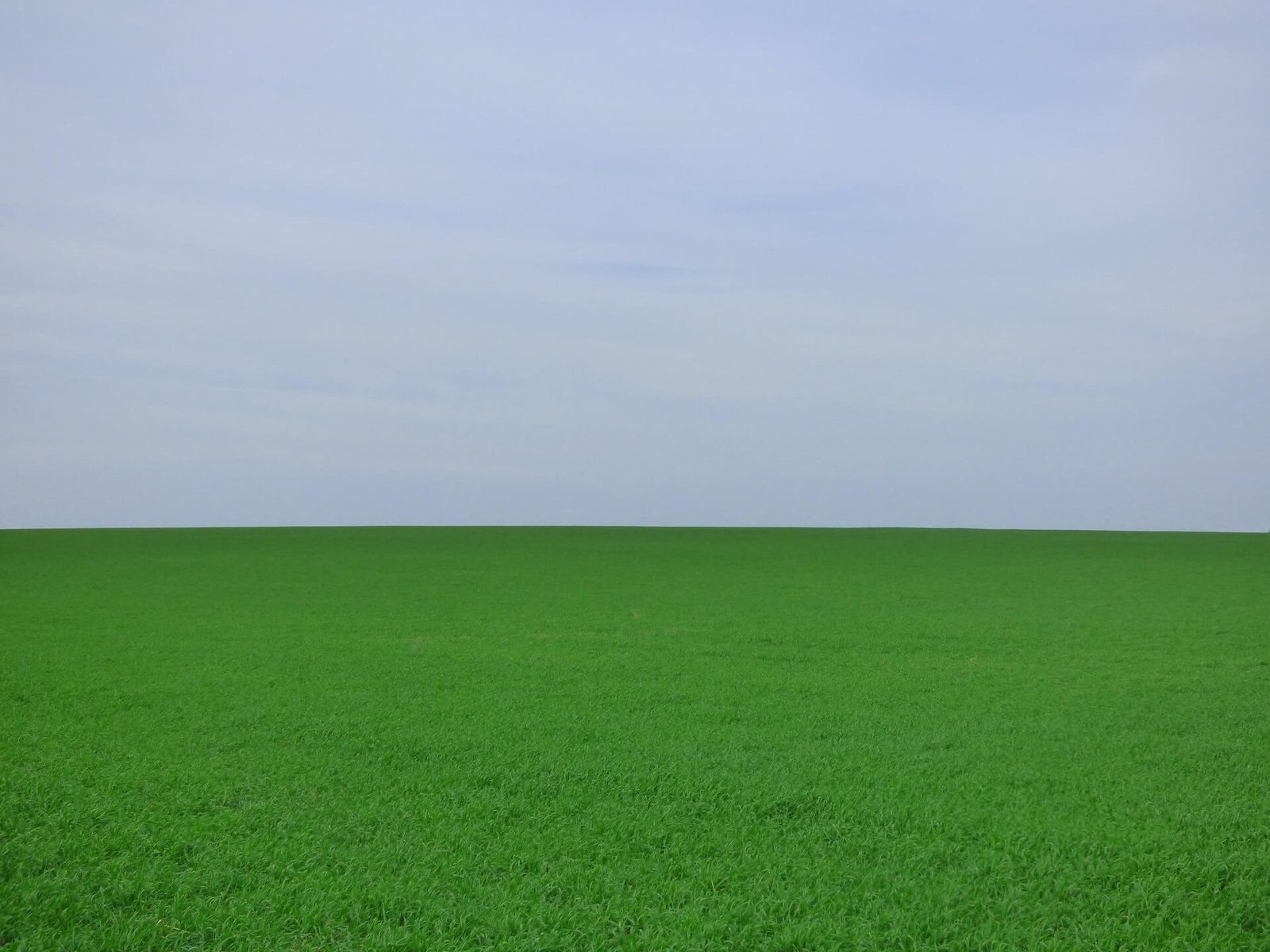 greener pastures