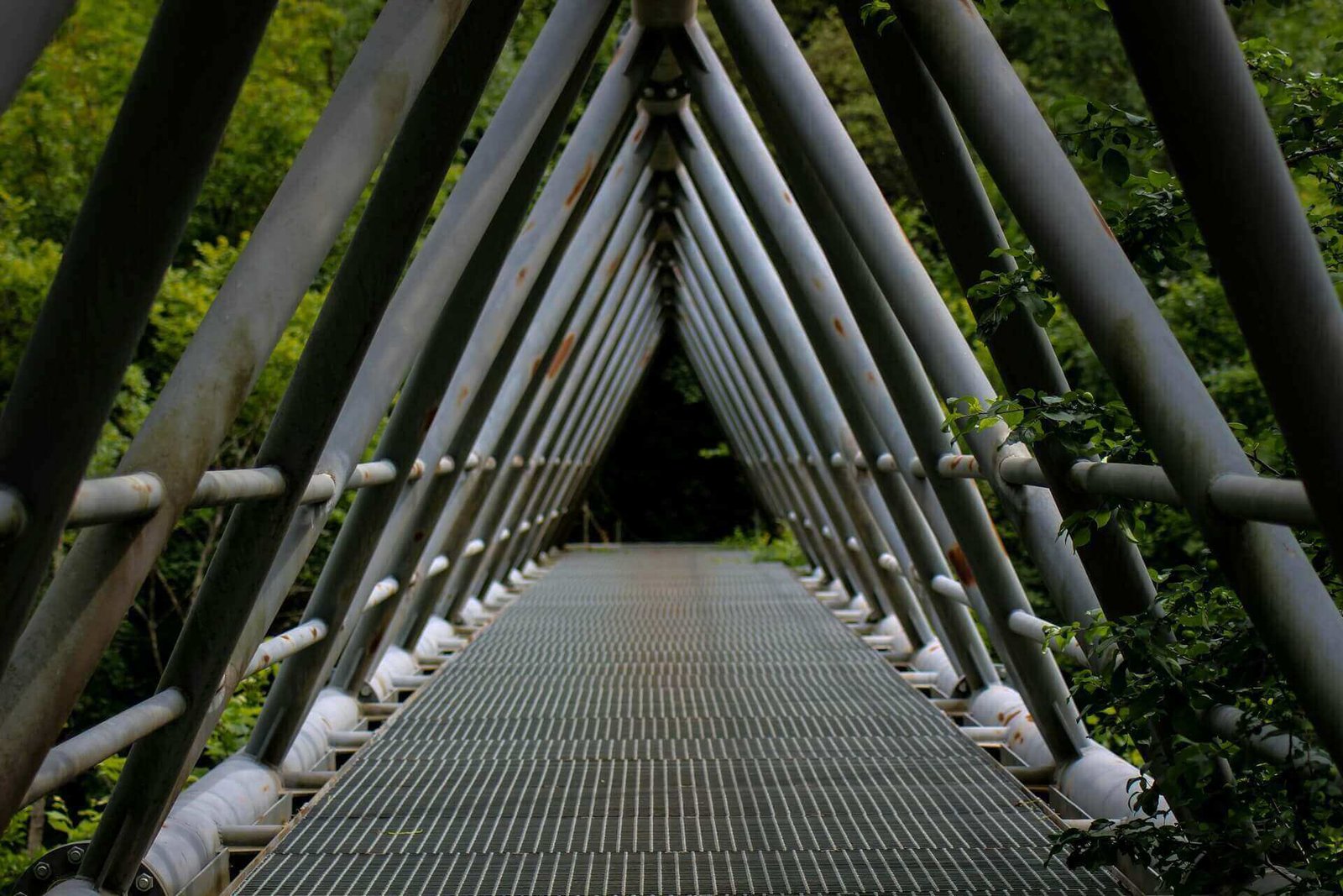 Take the High Road