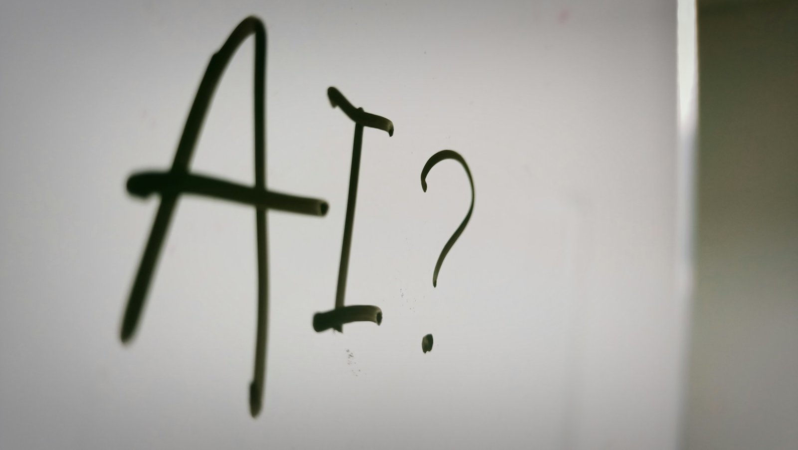 $20 AI Experiment